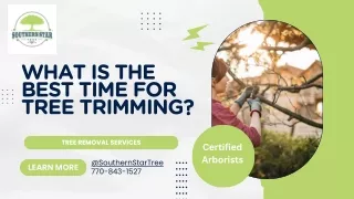 What is the best time for tree trimming