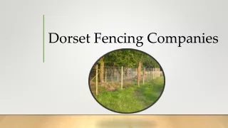 Dorset-Fencing-Companies-Dorset-Fencing-Specialists