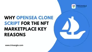 Why OpenSea Clone Script for the NFT marketplace key reasons