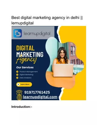 Best digital marketing agency in delhi || lernupdigital