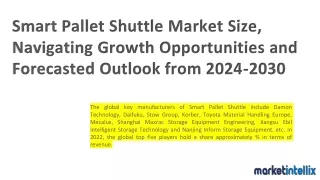 Smart Pallet Type Shuttle Market Size, Strategies: Unlocking Growth
