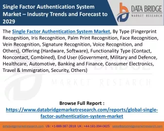 single factor authentication system market