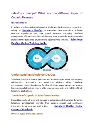 salesforce devops what are the different types