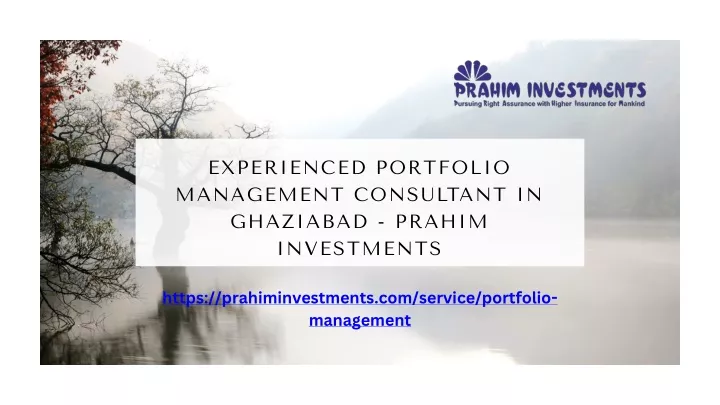 experienced portfolio management consultant