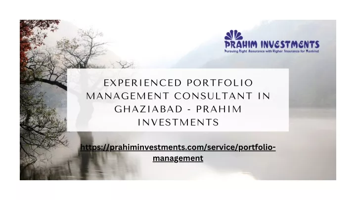 experienced portfolio management consultant