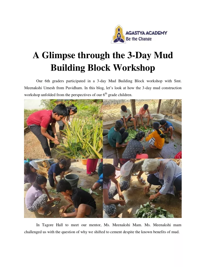 a glimpse through the 3 day mud building block