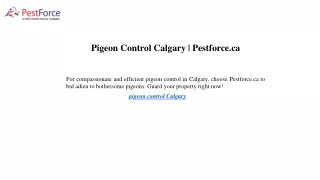 Pigeon Control Calgary Pestforce.ca