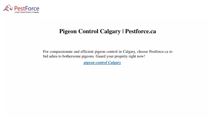 pigeon control calgary pestforce ca