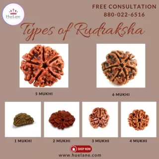 Your Ultimate Guide to Rudraksha Types & Benefits