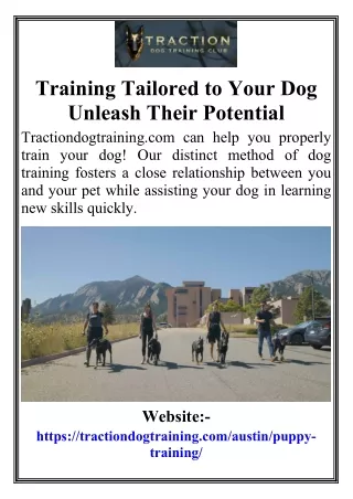 Training Tailored to Your Dog Unleash Their Potential