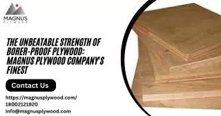 The Unbeatable Strength of Borer-Proof Plywood: Magnus Plywood Company’s Finest