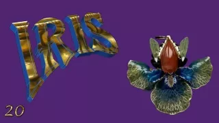 Iris, the spring jewel20 (flowers in art)