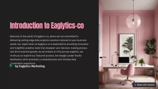 Eaglytics-Google-Looker-Studio-Dashboard