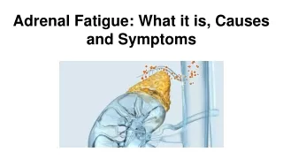 Adrenal Fatigue: What it is, Causes and Symptoms