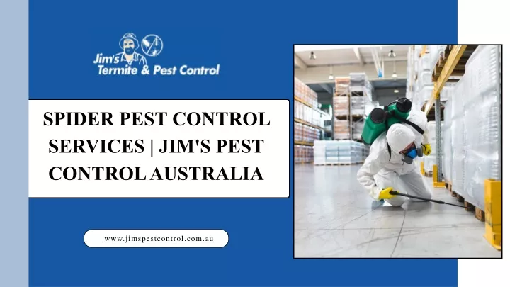 spider pest control services jim s pest control