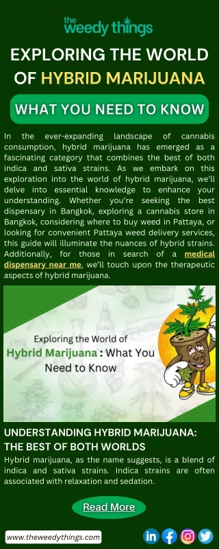 Exploring the World of Hybrid Marijuana What You Need to Know