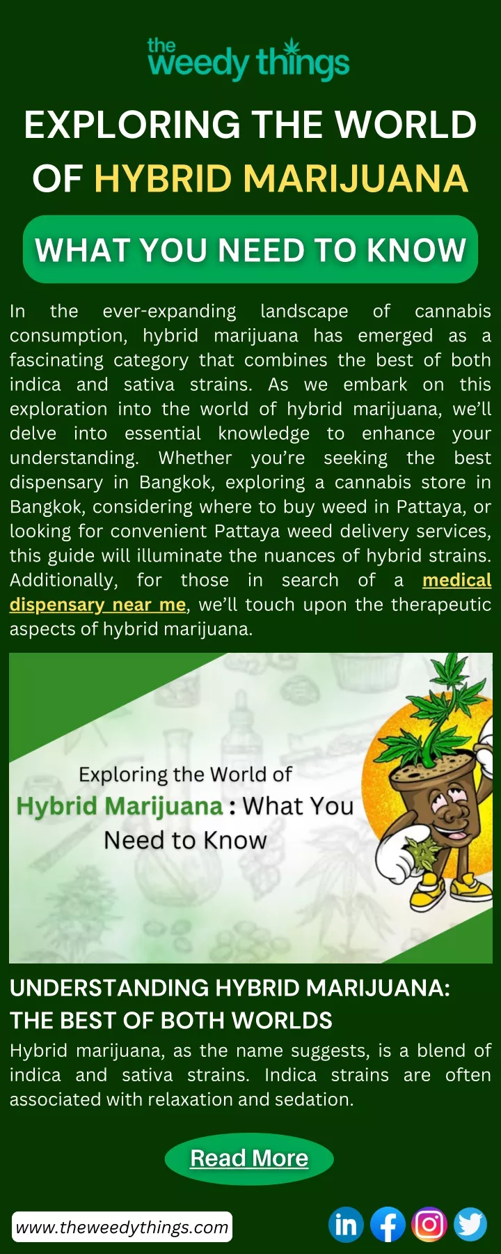 exploring the world of hybrid marijuana