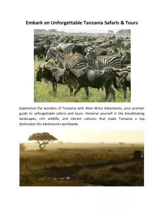 Embark on Unforgettable Tanzania Safaris