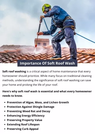 Importance Of Soft Roof Wash
