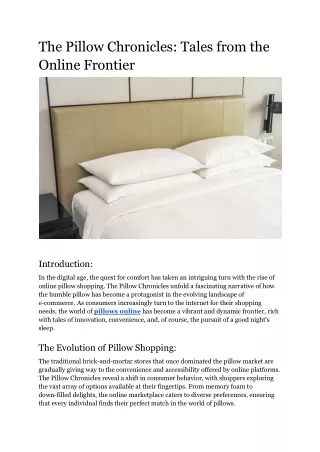 The Pillow Chronicles_ Tales from the Online Frontier