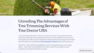 Unveiling The Advantages of Tree Trimming Services With Tree Doctor USA