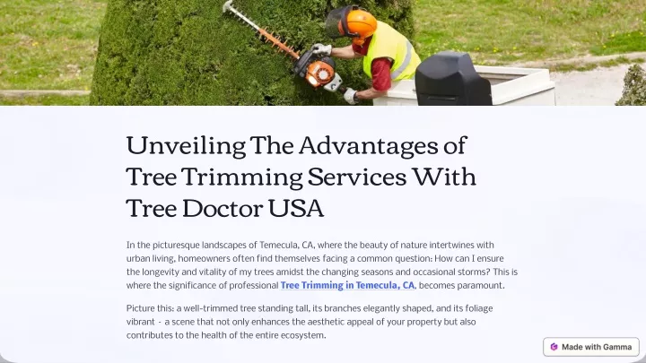 unveiling the advantages of tree trimming