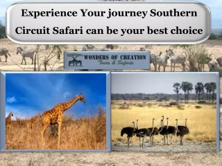 Experience Your journey Southern Circuit Safari can be your best choice