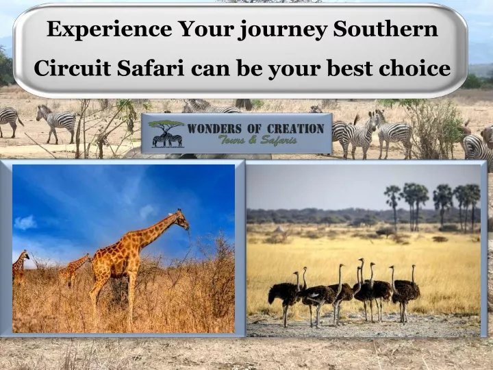 experience your journey southern