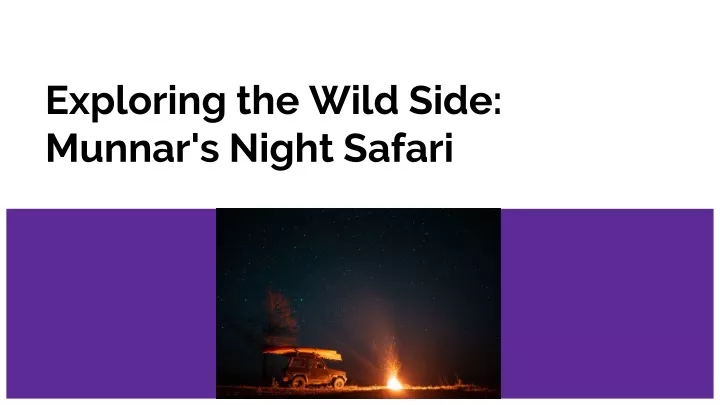 exploring the wild side munnar s night safari