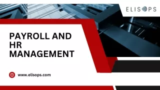 Elisops - Payroll and HR Management