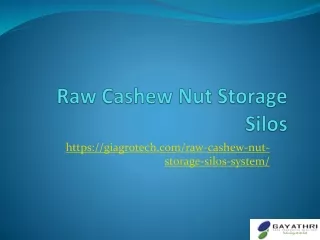 Raw Cashew Nut Storage Silos, Cashew Nut Storage System, Steamed Cashew Storage