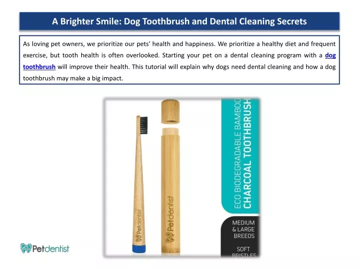 a brighter smile dog toothbrush and dental cleaning secrets