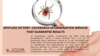 Cockroach Extermination Services That Guarantee Results