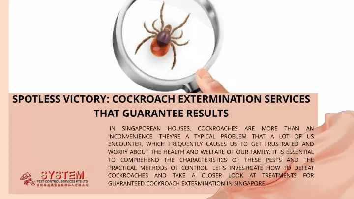 spotless victory cockroach extermination services