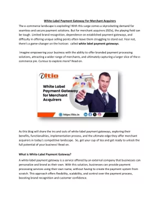 white label payment gateway for merchant acquirers