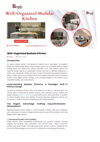 well organized modular kitchen