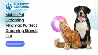 Mobile Pet Grooming Miramar: Purrfect Grooming Stands Out