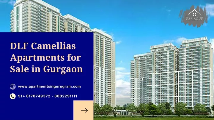 dlf camellias apartments for sale in gurgaon