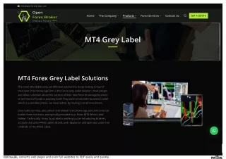 www_openforexbroker_com_forex-mt4-grey-label-turnkey_