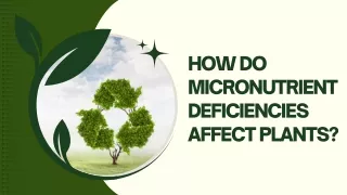 Microm Woes: Understanding Plant Growth Issues