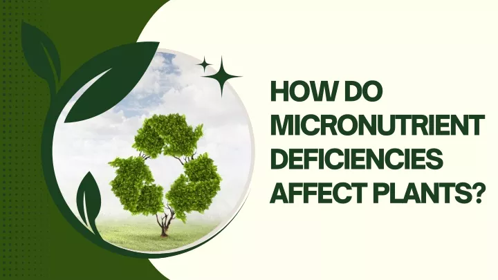 how do micronutrient deficiencies affect plants