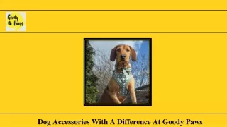 Dog Accessories With A Difference At Goody Paws