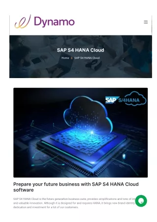 SAP S4 HANA Cloud Public Edition