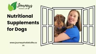 Nutritional Supplements for Dogs | Journeys Holistic Life