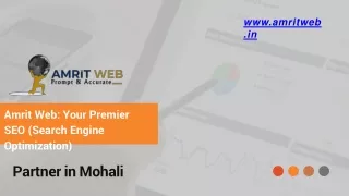 Amrit Web Your Premier SEO (Search Engine Optimization)
