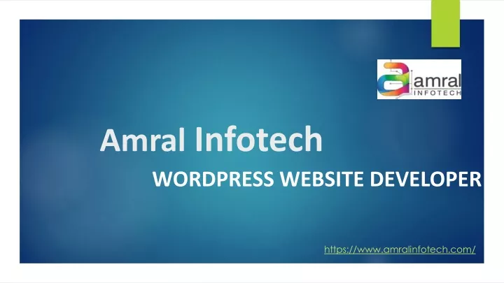 amral infotech