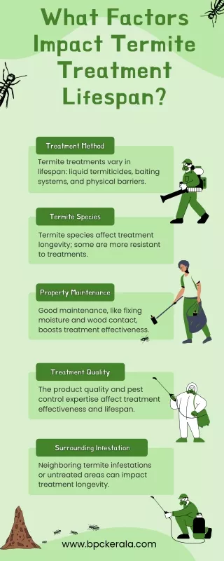 What Factors Impact Termite Treatment Lifespan