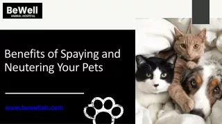 Benefits of Spaying and Neutering Your Pets