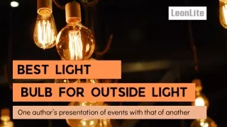 Brilliance Beyond Discovering the Best Light Bulbs for Outdoor Lighting