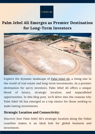 Palm Jebel Ali Emerges as Premier Destination for Long-Term Investors